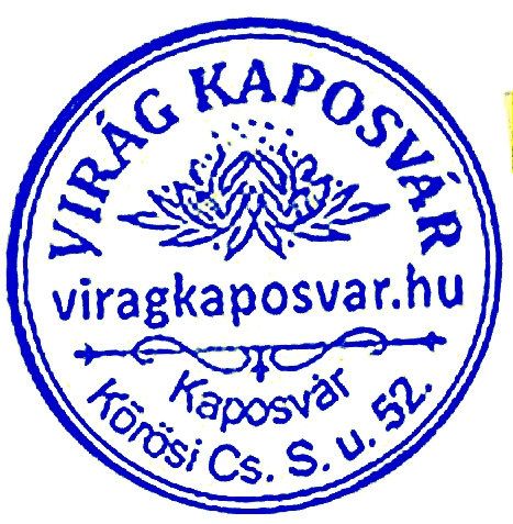 logo_kek.jpg